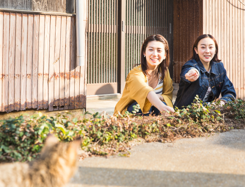 写真
